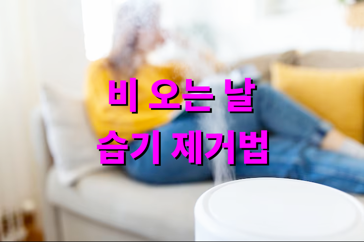 비 오는 날 습기 제거법