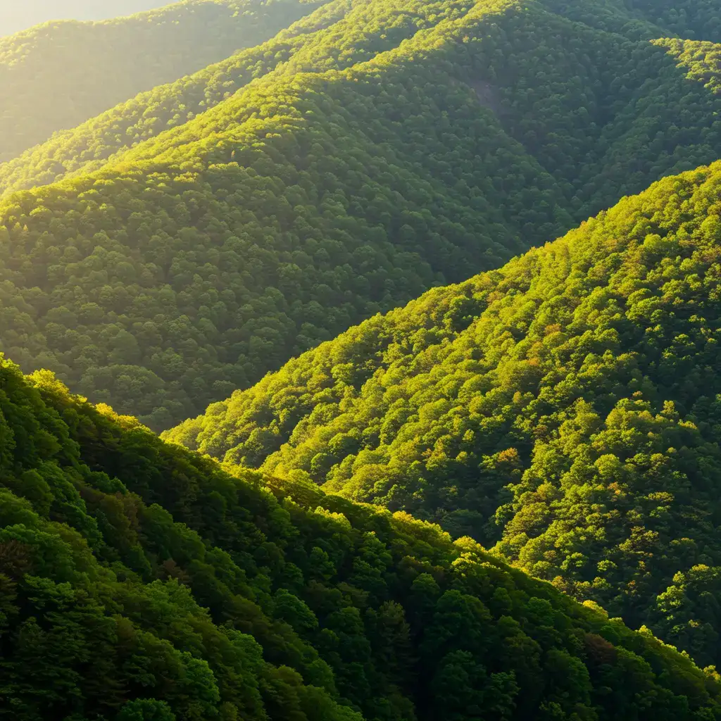 2025년 임업직불금 지급일 지급액 계산 방법