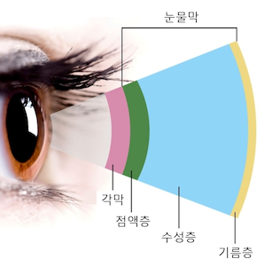 눈물층