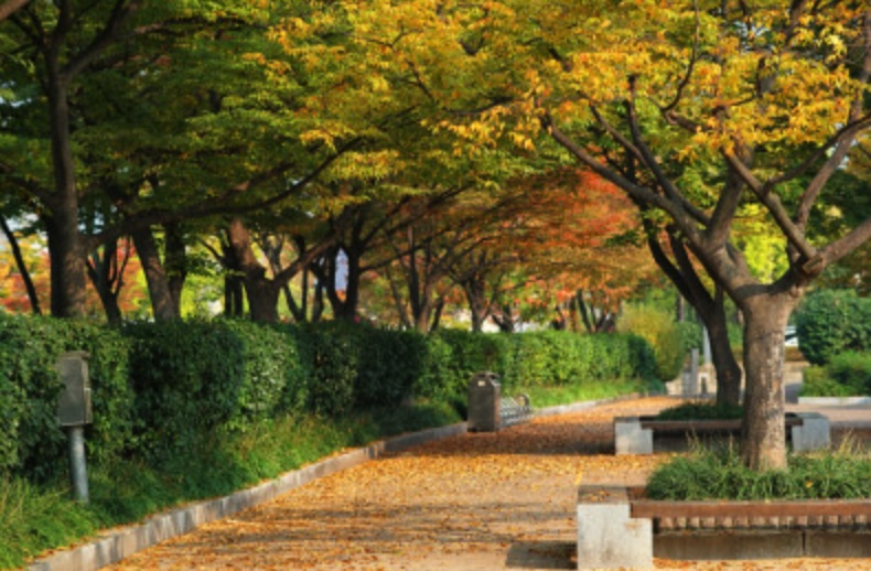 경남 김해 가볼만한 곳 추천명소 5곳 김해박물관