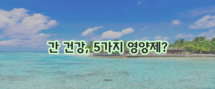 간에 좋은 영양제 5가지 꼭 챙겨 간 기능 개선하자!