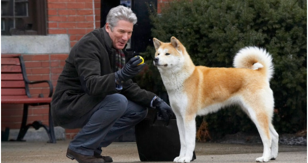 영화 하치이야기 이미지