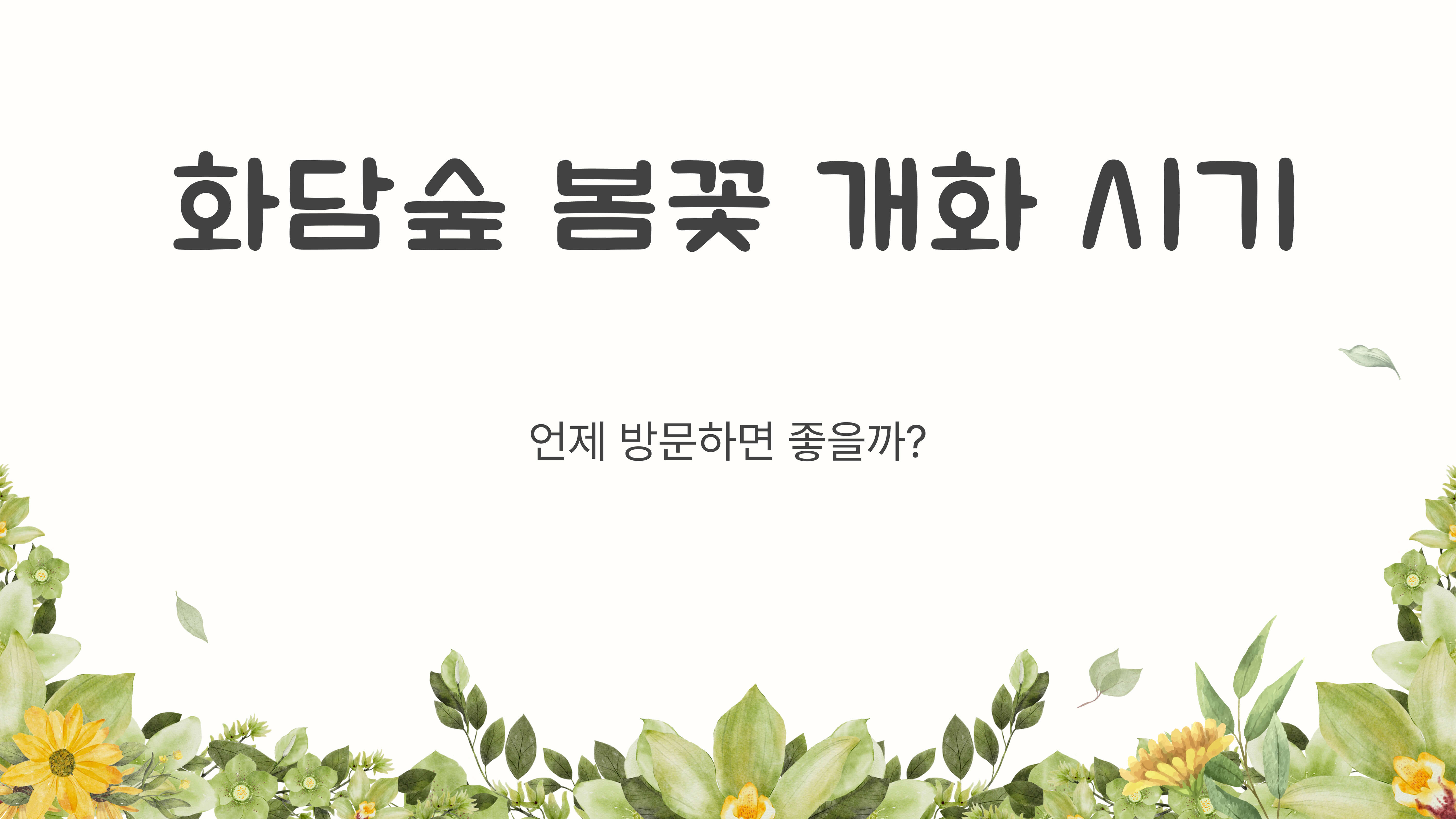 화담숲 봄꽃 개화 시기, 방문 일정 꿀팁