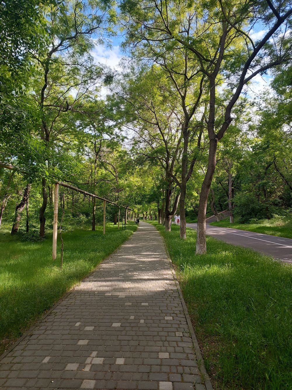 충남 계룡시파크골프장 (신도안)_3