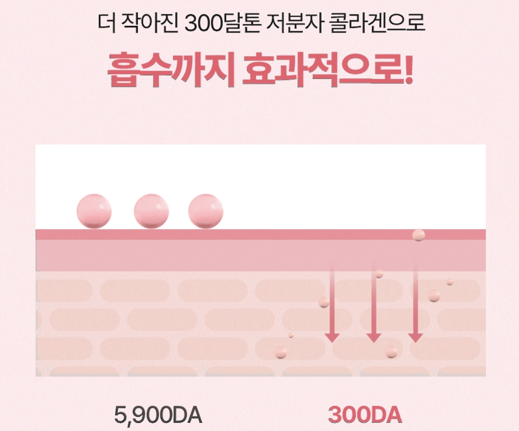 저분자 콜라겐 300달톤