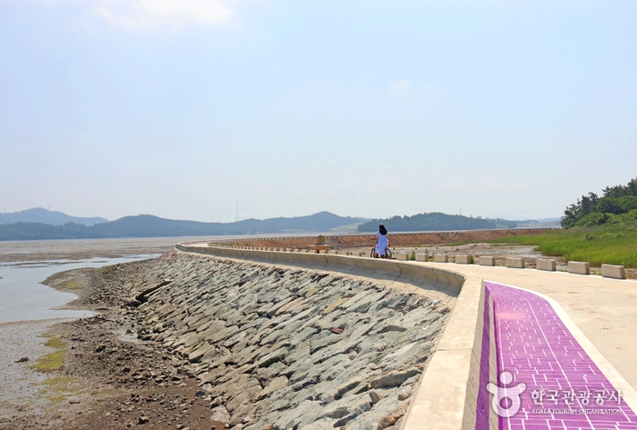 해안 산책로를 따라 한 여인이 자전거를 타고 가고 있다.
