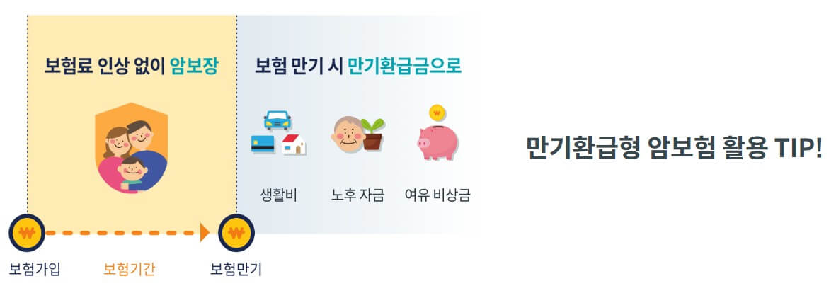 만기환급형 암보험이란?