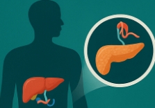 개복숭아효소 효능