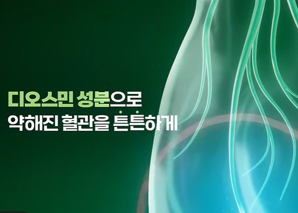 치센 효과