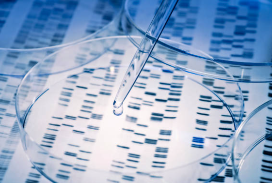 유전체 분석을 통한 맞춤형 건강 관리 트렌드