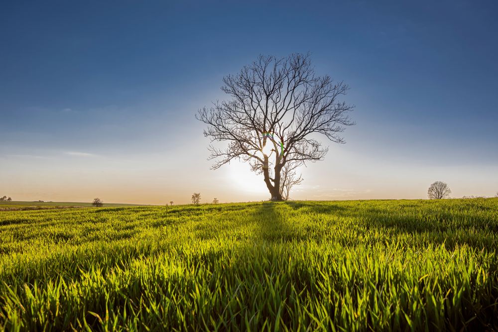 충북 단양군 단양생태체육공원 파크골프장_7