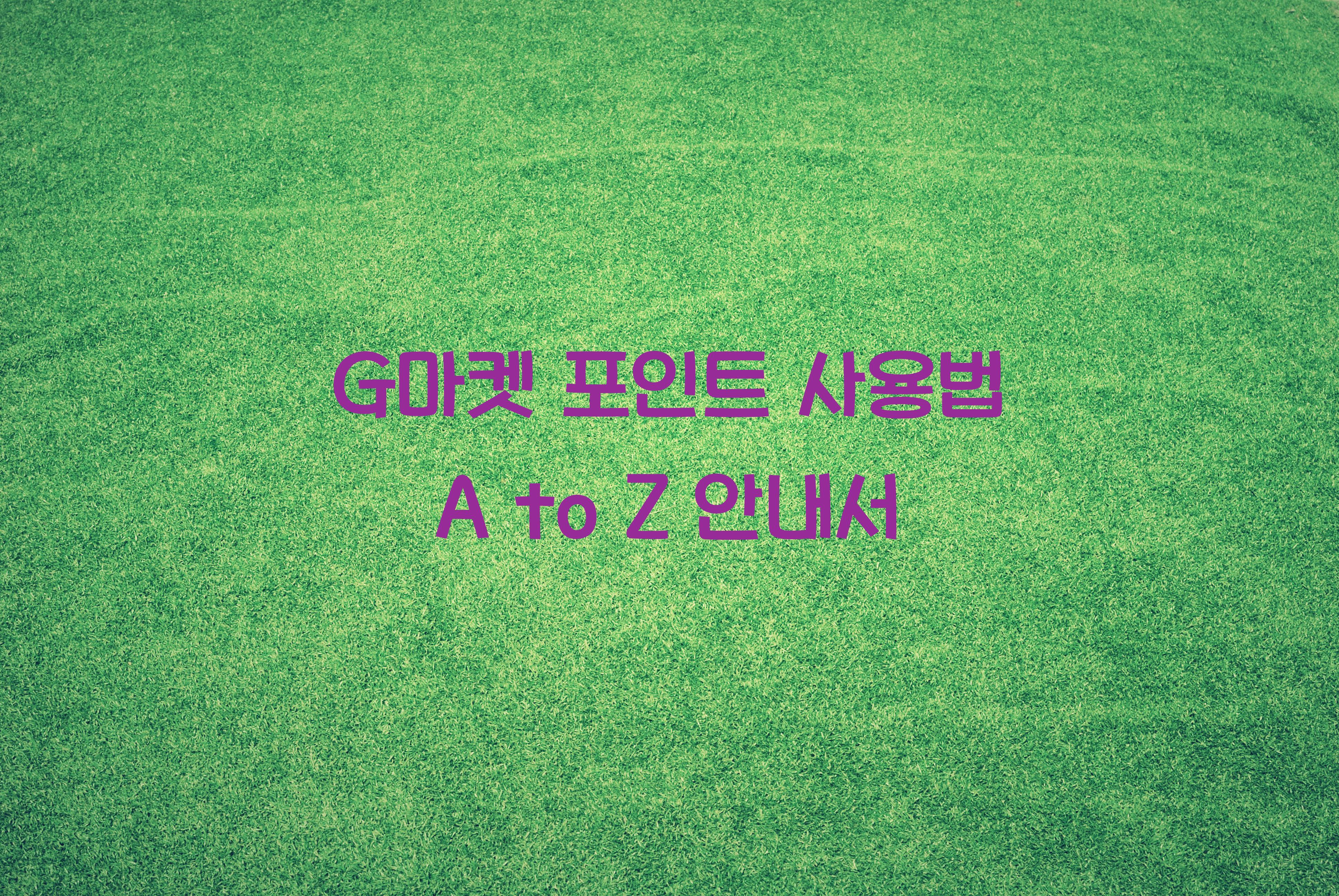 G마켓 포인트 사용법