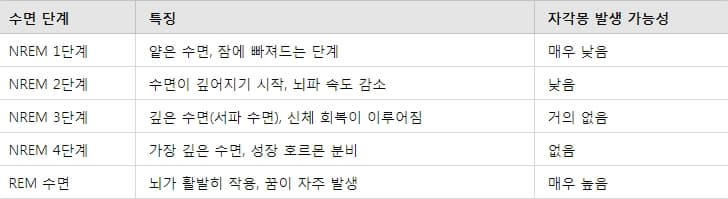수면 단계