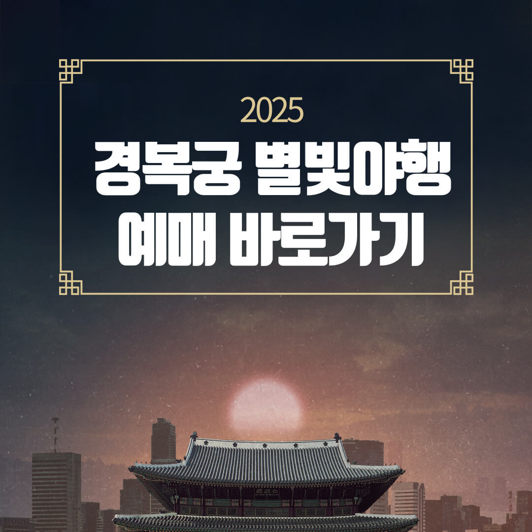 경복궁 야간개장 별빛야행