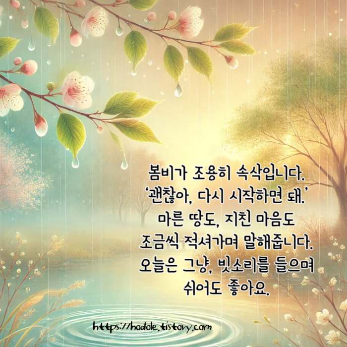 봄비 이미지