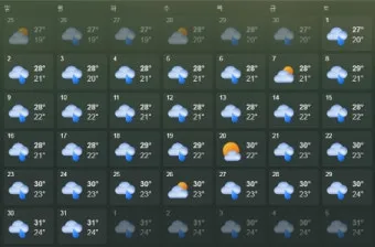 장마 예보 2025년 예상 지역별 강수 시기와 대비책 정리_3