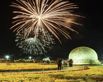 마산 가고파 국화축제_15