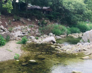 경기도 차박하기좋은곳 TOP 10곳