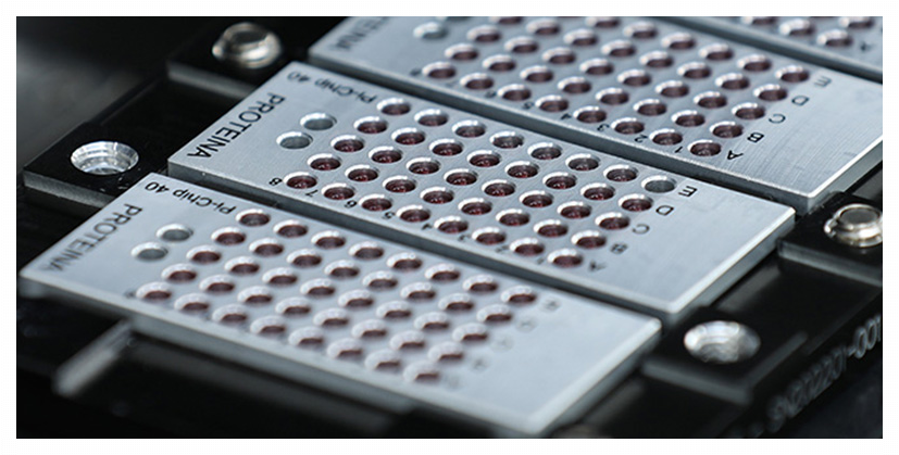 단백질-단백질 상호작용(PPI) 분석하는 Pi-Chip