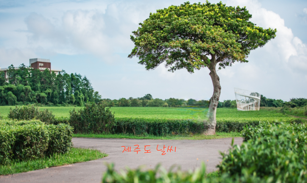 제주도
