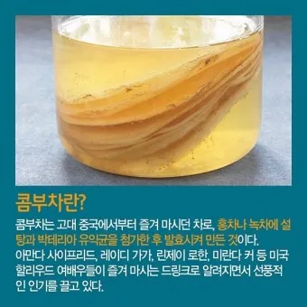 콤부차 효능_9