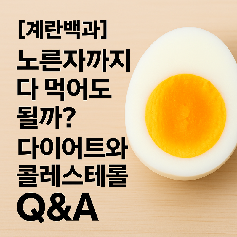 계란백과: 노른자까지 다 먹어도 괜찮은지에 대한 다이어트 및 콜레스테롤 관련 Q&A 이미지