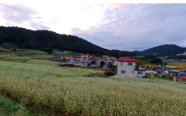 혼자만알고싶은여행지