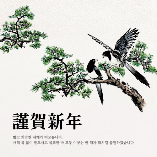대상별 새해 인사말 추천 2025년 새해 인사말 예시 직장 상사에게 전하는 새해 인사 고객에게 전하는 새해 인사 영어 새해 인사 메시지 2025 새해 인사 새해 인사말 새해 인사 문구 새해 인사 메시지 새해 연하장 문구