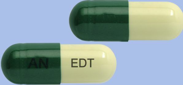 뉴에르도테 캡슐