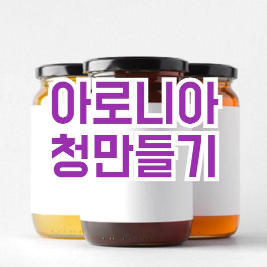 아로니아 청 만들기, 보관은 어떻게 해야!?