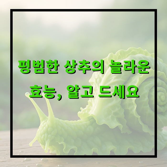 상추 효능부터 겉절이 레시피 까지