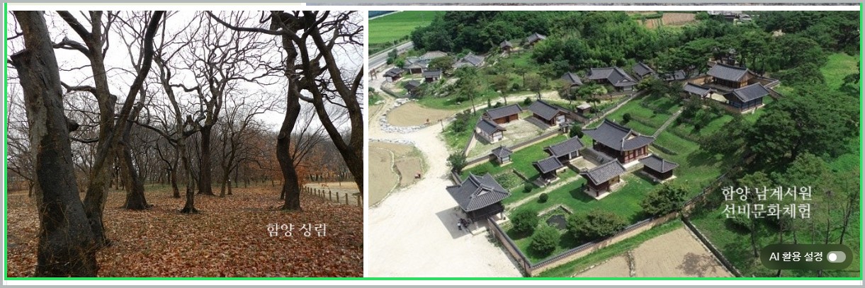 한국기행 함양 자갈유과 개평마을 업체 위치 택배주문 방법