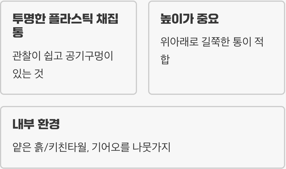 초록 점퍼를 위한 스위트홈