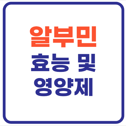 알부민의 효능