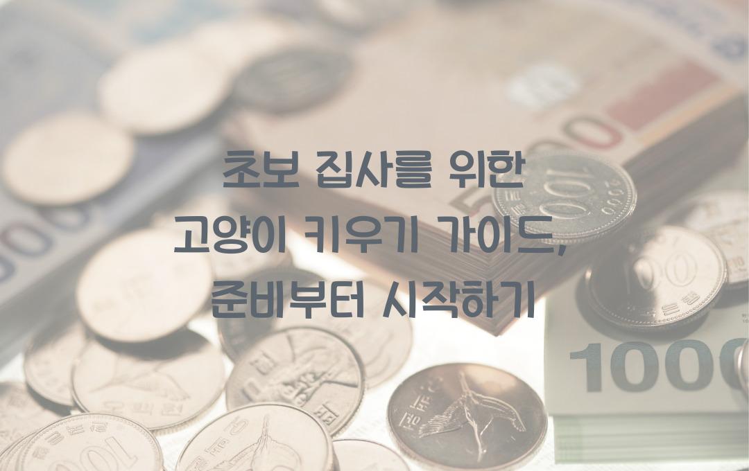 초보 집사를 위한 고양이 키우기 가이드, 처음부터 제대로 준비하는 법