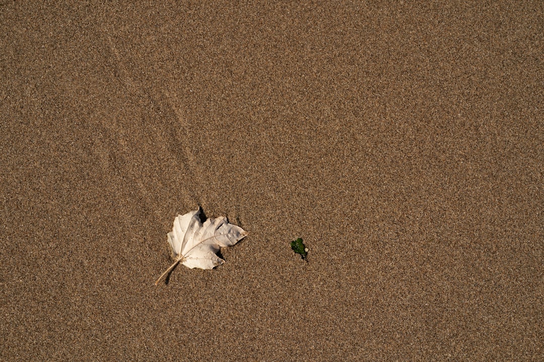 Farewell