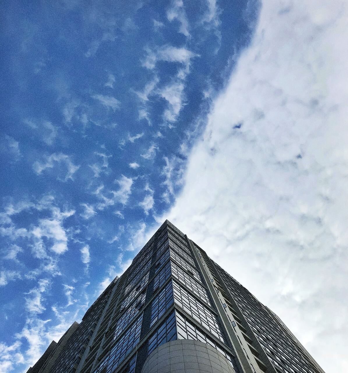 태풍파북