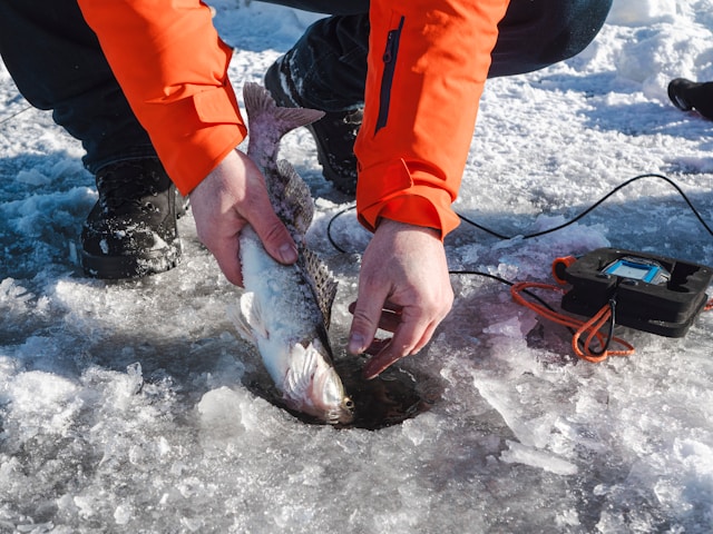 토스/카카오페이 연말정산 환급금 놓치면 후회하는 신청법