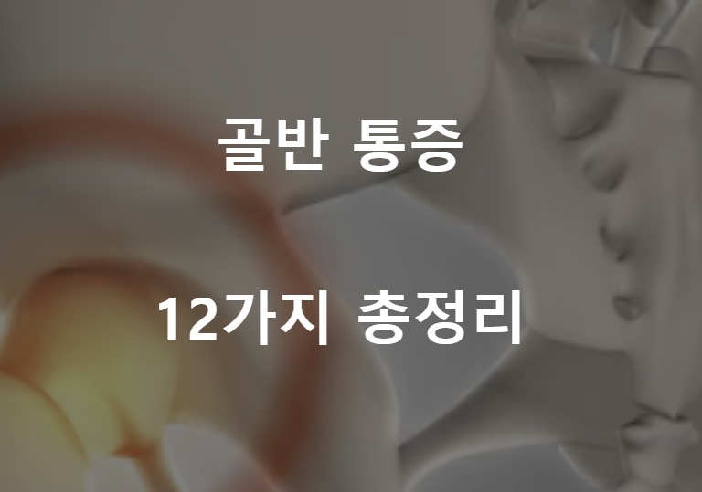 골반 통증 12가지 총정리 섬네일