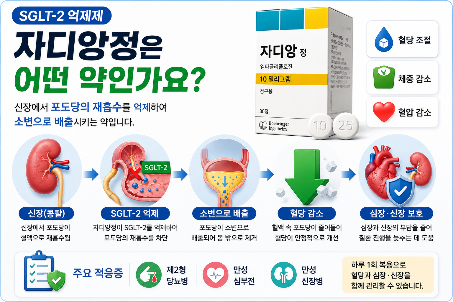 자디앙정-어떤약인가요-SGLT2-작용기전-혈당조절-심장-신장보호