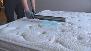 빈대 물린자국 : 빈대 퇴치법, 증상, 예방법