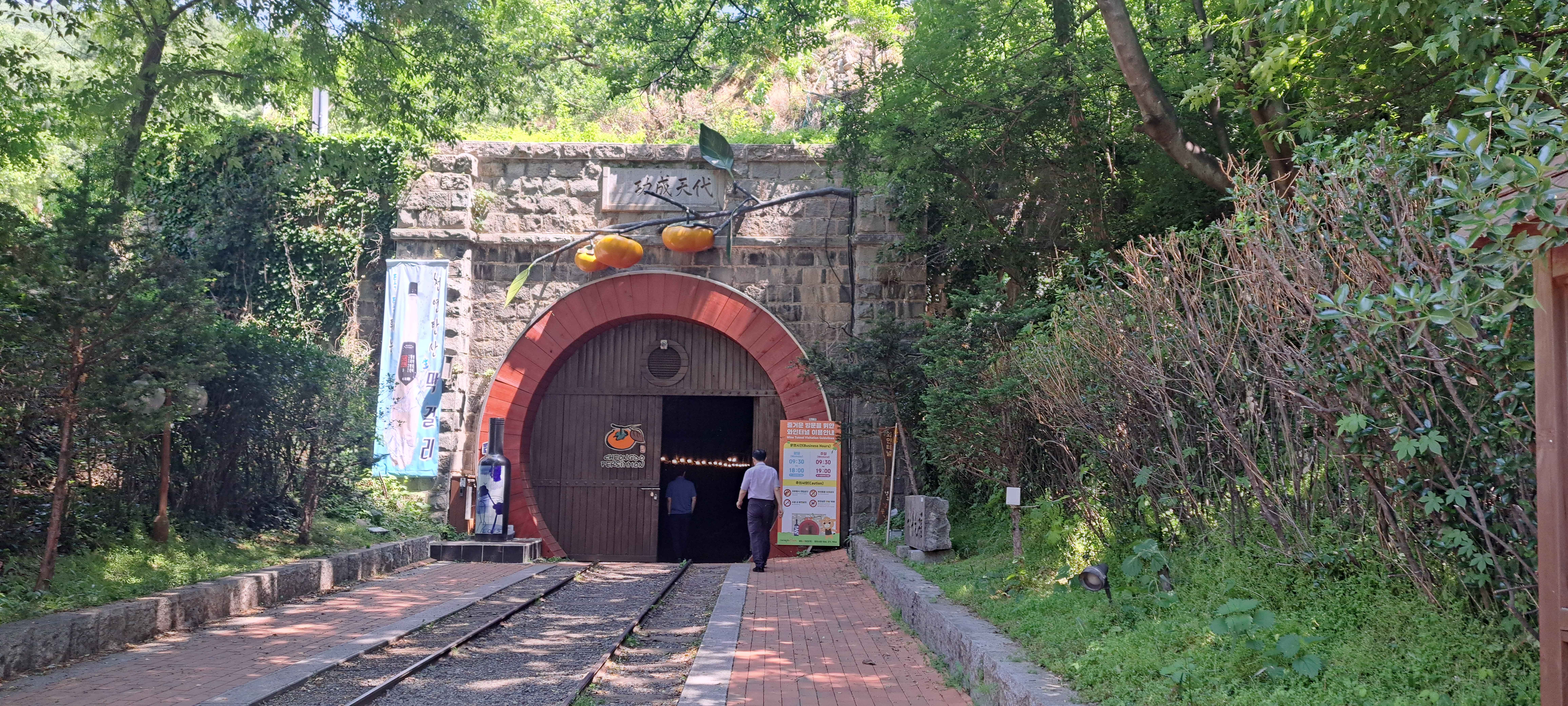 청도 와인터널 이미지
