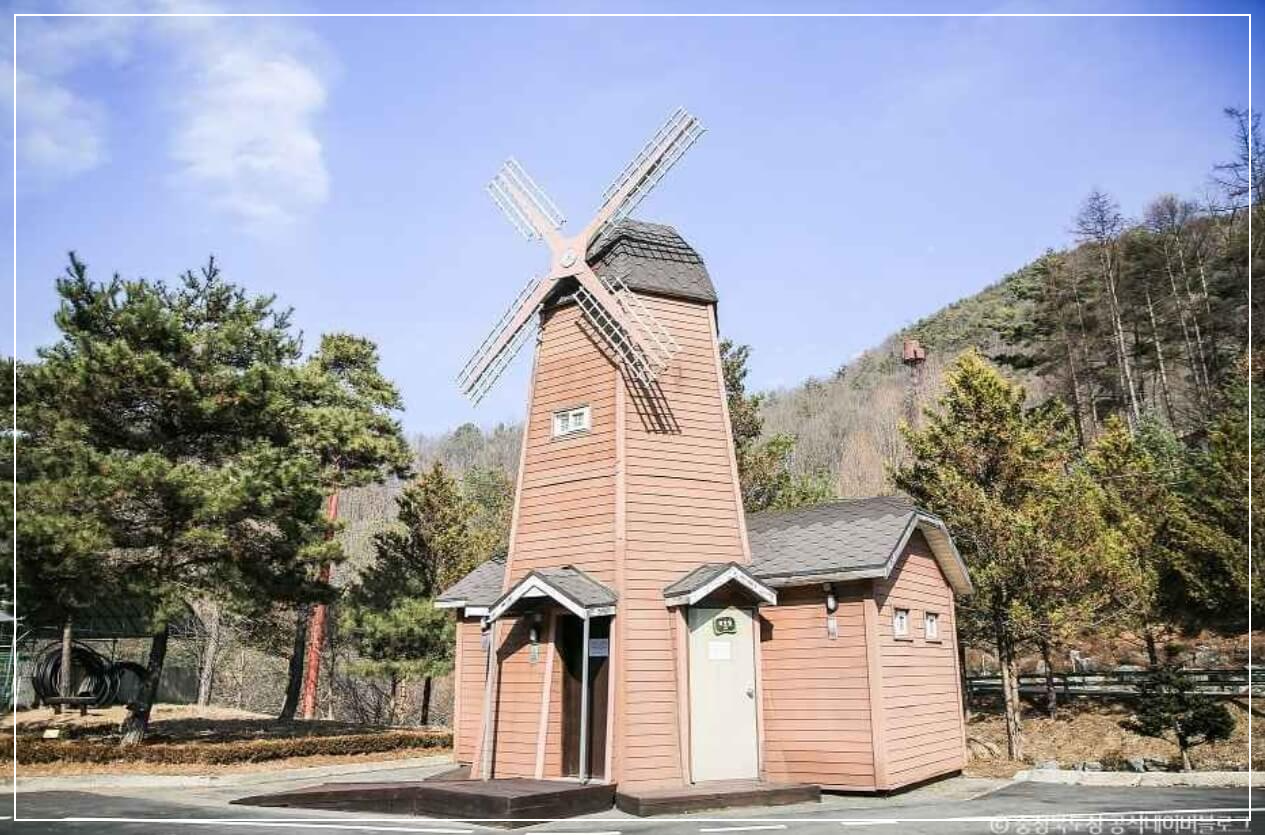 보은 가볼만한곳 베스트10 충북알프스자연휴양림