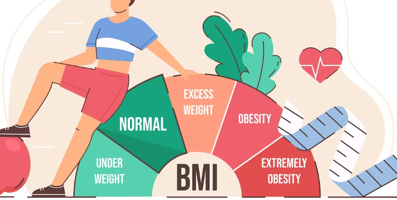 우리몸에 필요한 에너지를 알아보는 기초 대사율