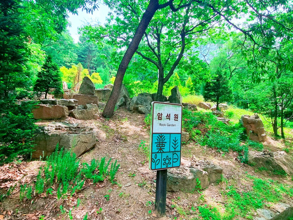 파주 여행: 싱그러운 율곡수목원, 근처 맛집 구워주는 갈빗집