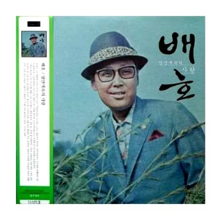 배호 안개낀 장충단 공원