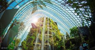 마리나 베이 ─ 돔 식물원 + 야간 슈퍼트리 쇼 (출처:네비버블로그/연합뉴스/쿨룩)