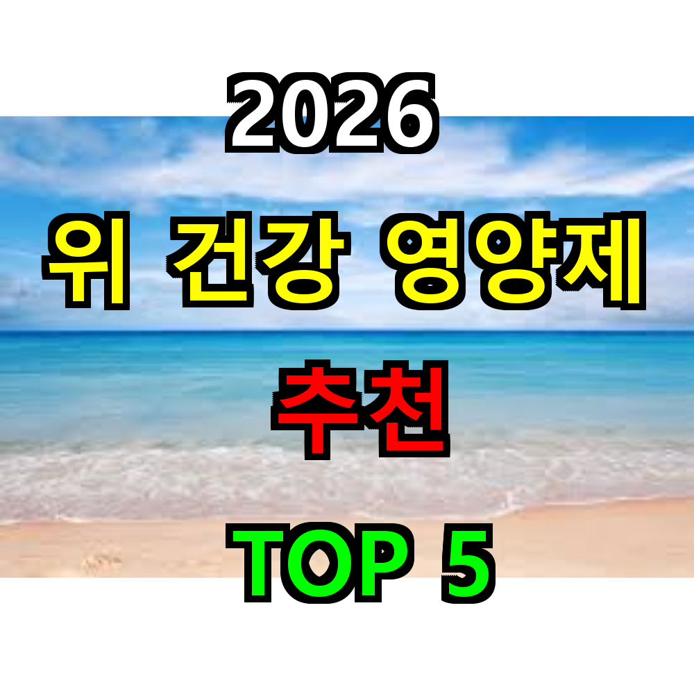 2026 위 건강 영양제 추천 TOP 5