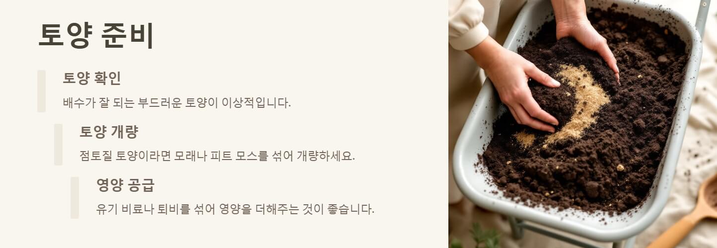 구근 심는 시기 및 방법