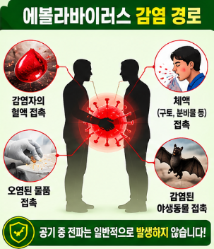 에볼라바이러스 증상 치사율 감염경로 총정리4